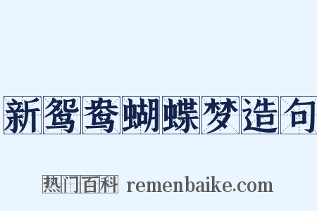 新鸳鸯蝴蝶梦造句是什么意思的图片